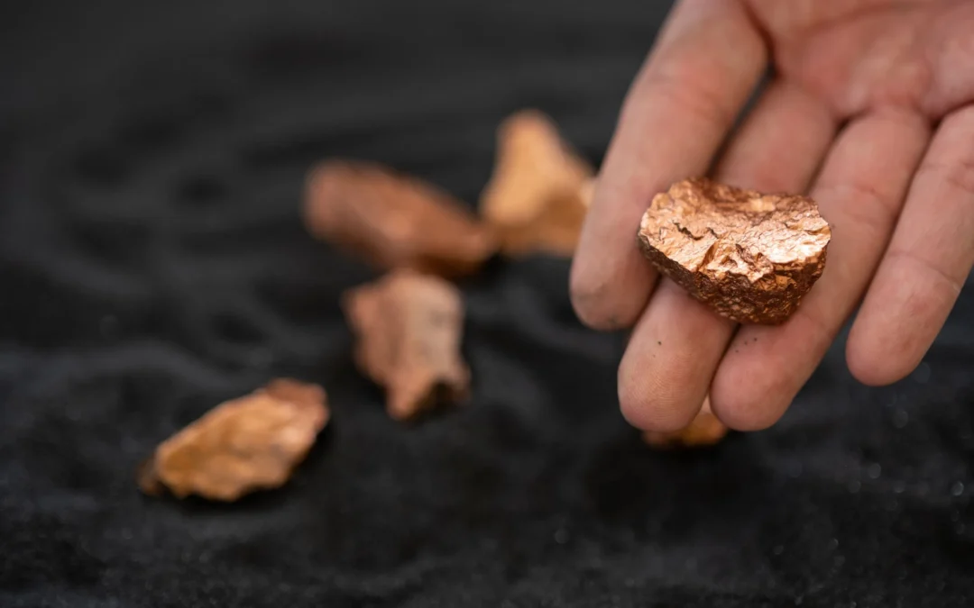 ¿EL FIN DE LA POBREZA? DESCUBREN UNA PLANTA QUE PRODUCE ORO PURO Y SE PUEDE CULTIVAR EN TODAS LAS CASAS