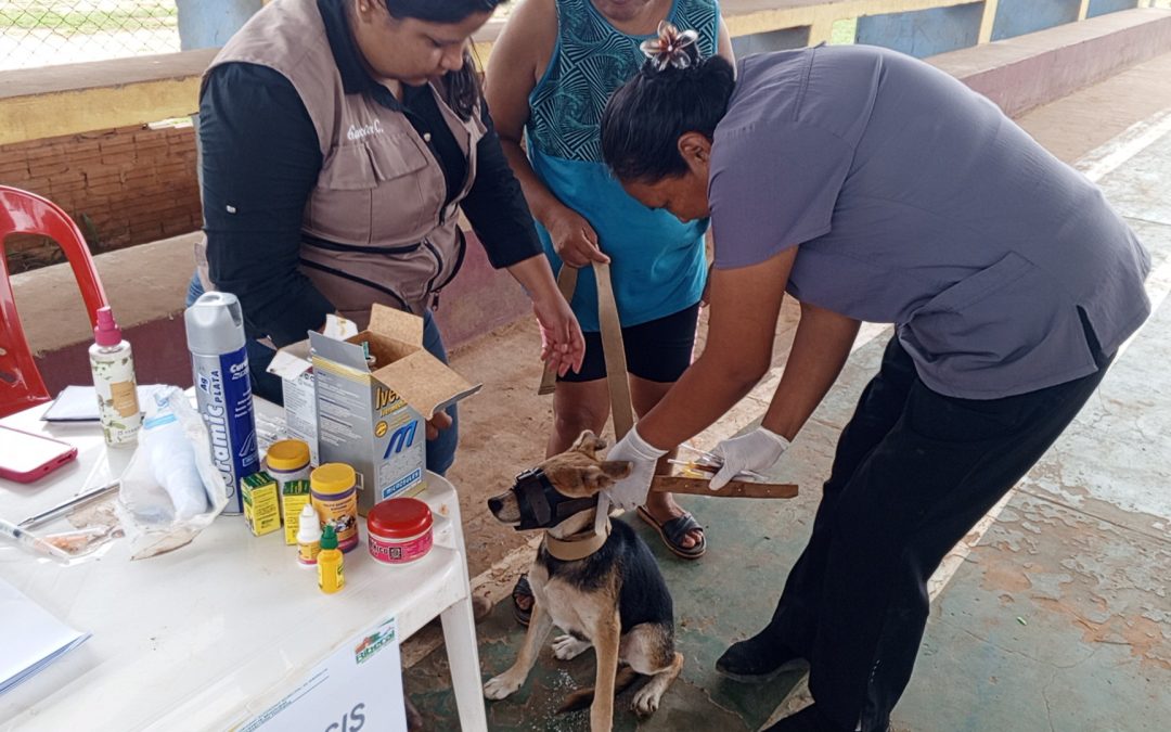 BENI INTENSIFICA VACUNACIÓN ANTIRRÁBICA PARA PROTEGER POBLACIÓN