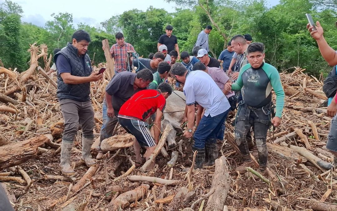 CRISIS POR LLUVIAS EXTREMAS LLEVA A SANTA CRUZ A DECLARAR EN DESASTRE