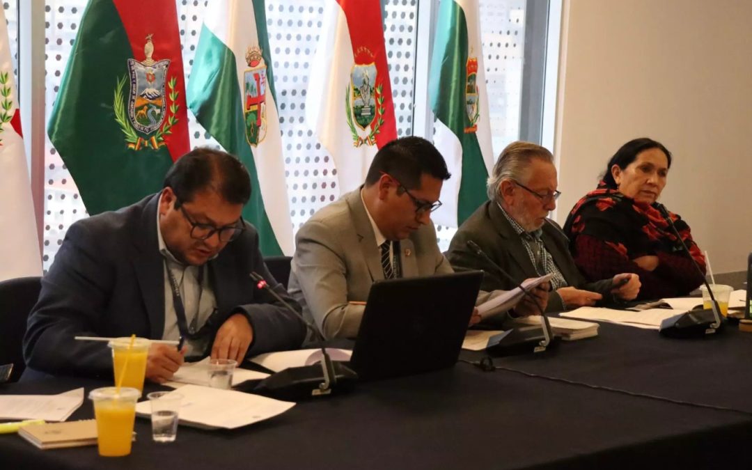 SENADORA YARHUI IMPULSA NUEVA REVISIÓN DE PUNTAJES POSTULANTES TSE
