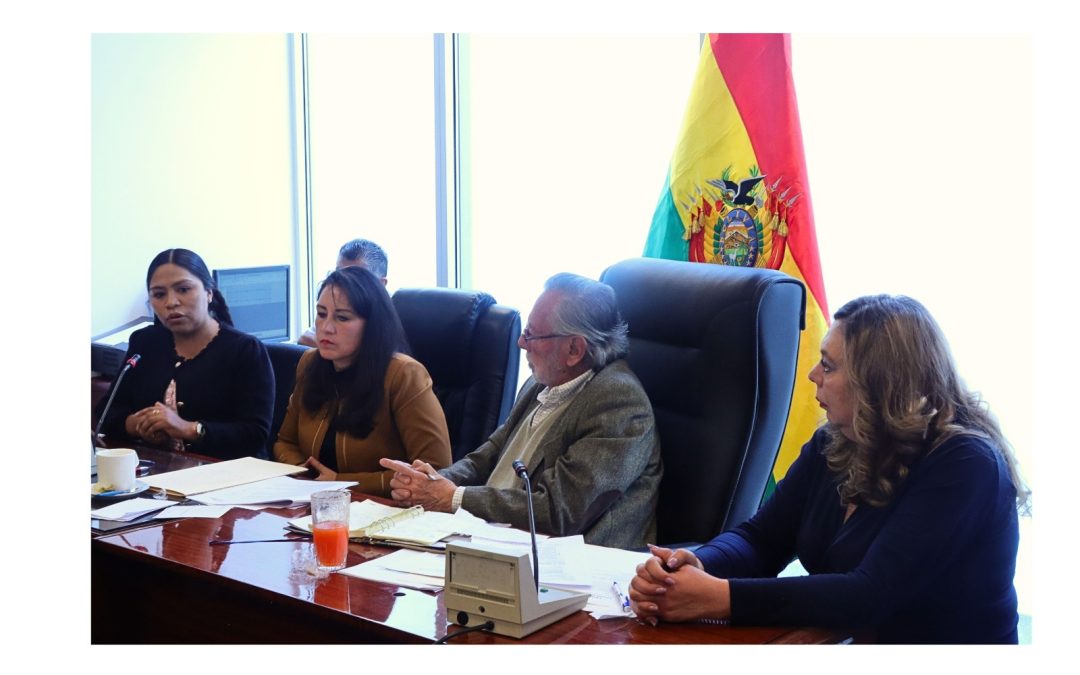 COMISIÓN APRUEBA LA LEY TRANSITORIA PARA GARANTIZAR FUNCIONAMIENTO DEL TCP Y TSJ