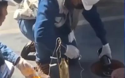 ANH BENI RATIFICA DEFICIENCIAS EN LA CALIDAD DE LA GASOLINA Y YPFB NIEGA VENTA DE UN PRODUCTO MALO