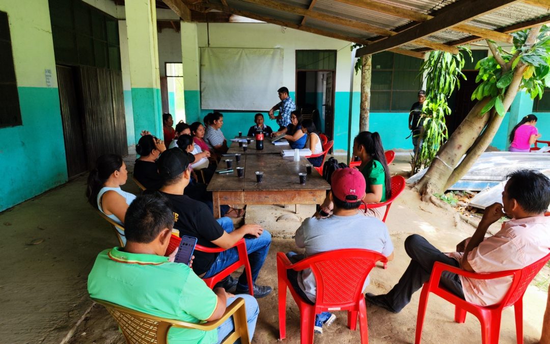 TIM VOTARÁ EN LAS SUBNACIONALES 2026 COMO ENTIDAD TERRITORIAL AUTÓNOMA