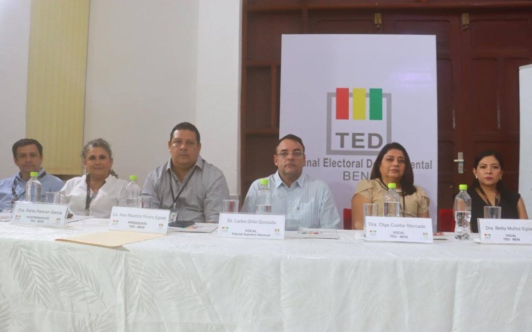 EL TSE DARÍA LOS RESULTADOS SUBNACIONALES LA MISMA NOCHE DEL 22