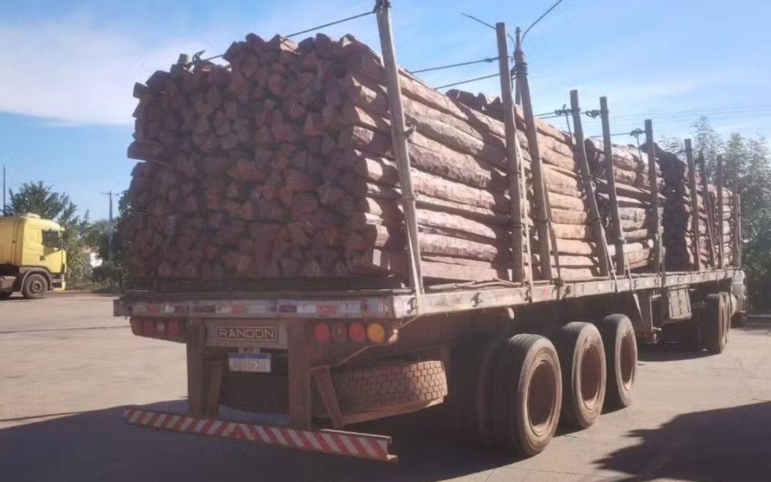 OPERATIVO INTERNACIONAL DESCUBRE COCAÍNA OCULTA EN MADERA QUE SALIÓ DE BOLIVIA