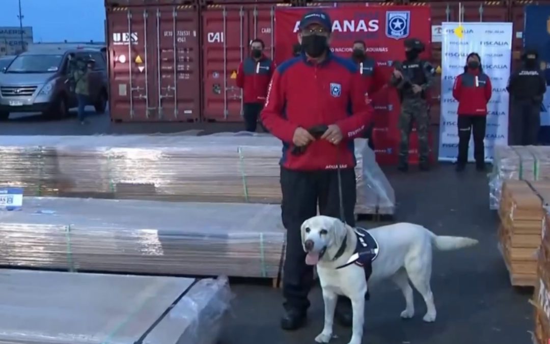 EL MECANISMO NARCO QUE ARRASA BOSQUES: CÓMO LLEGARON 108 TONELADAS DE COCAÍNA Y KETAMINA IMPREGNADAS EN MADERA DE BOLIVIA A CHILE