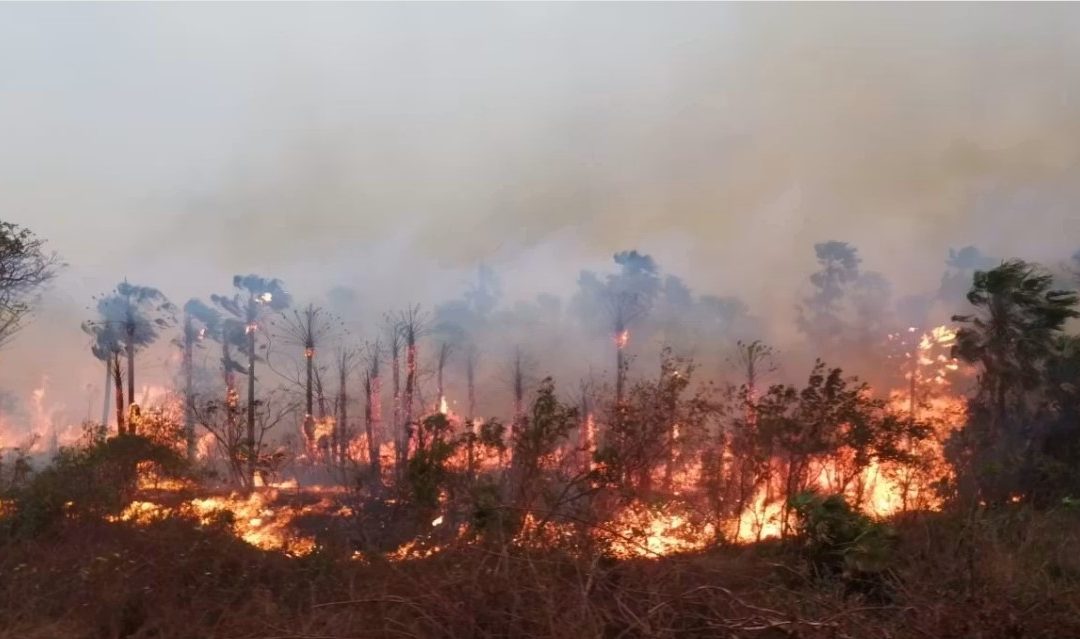 SENAMHI ALERTA INMINENTE SEQUÍA EN BENI Y REPORTA 172 FOCOS DE CALOR ACTIVOS