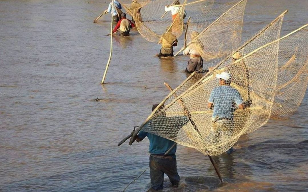 UNESCO RECONOCE LA PESCA ANCESTRAL WEENHAYEK COMO PATRIMONIO ALIMENTARIO