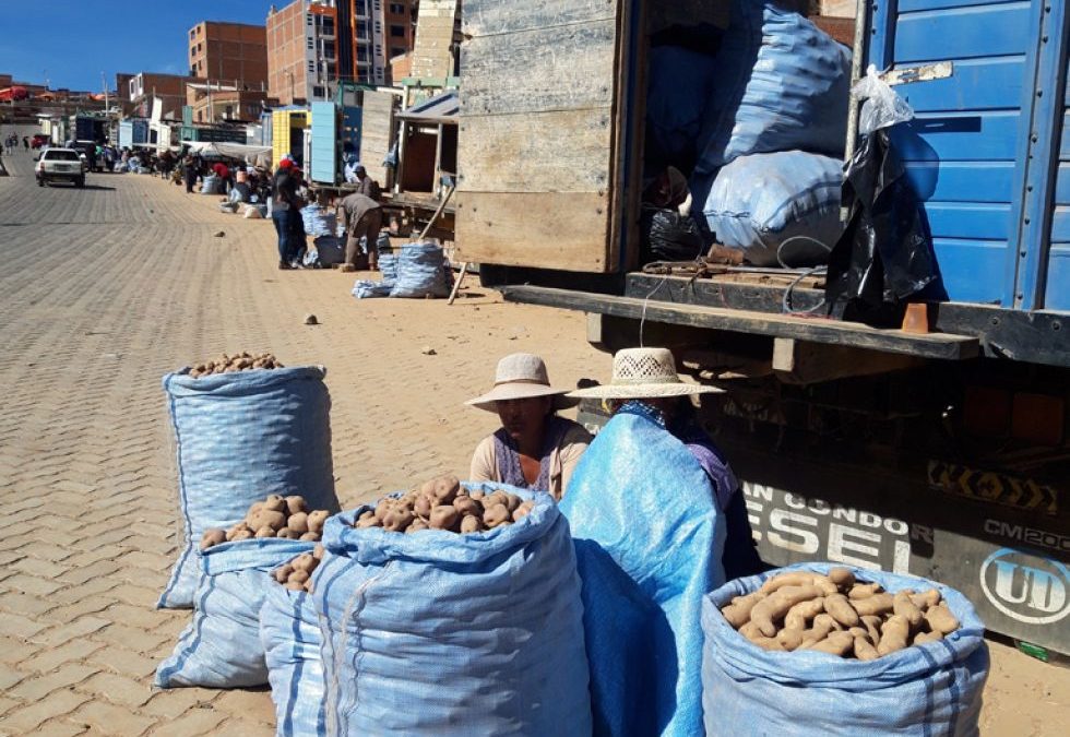 PAPA SUBE HASTA 80% EN LA PAZ POR EL ENCARECIMIENTO DEL TRANSPORTE