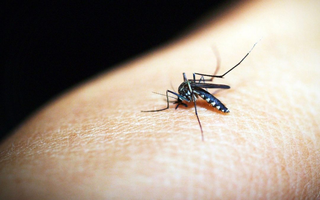 BENI SUMA 920 CASOS DE DENGUE Y CHIKUNGUNYA EN 2026