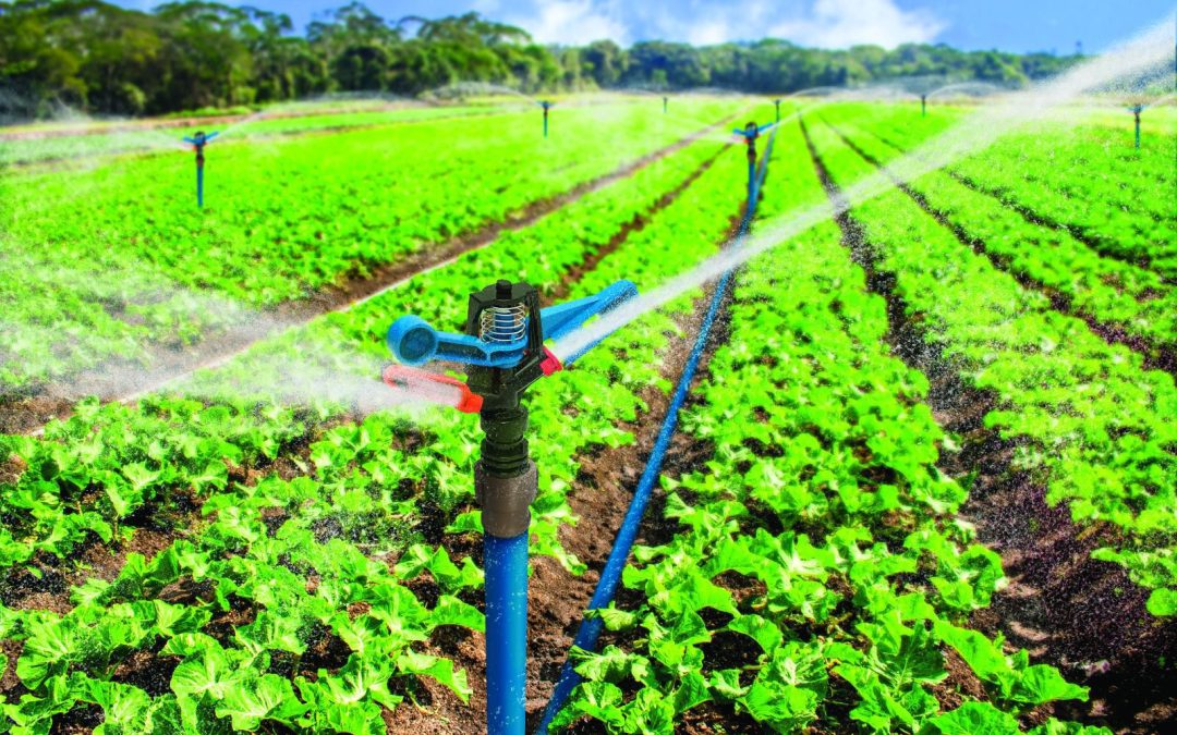 TIGRE SE CONSOLIDA COMO REFERENTE EN SOLUCIONES SOSTENIBLES