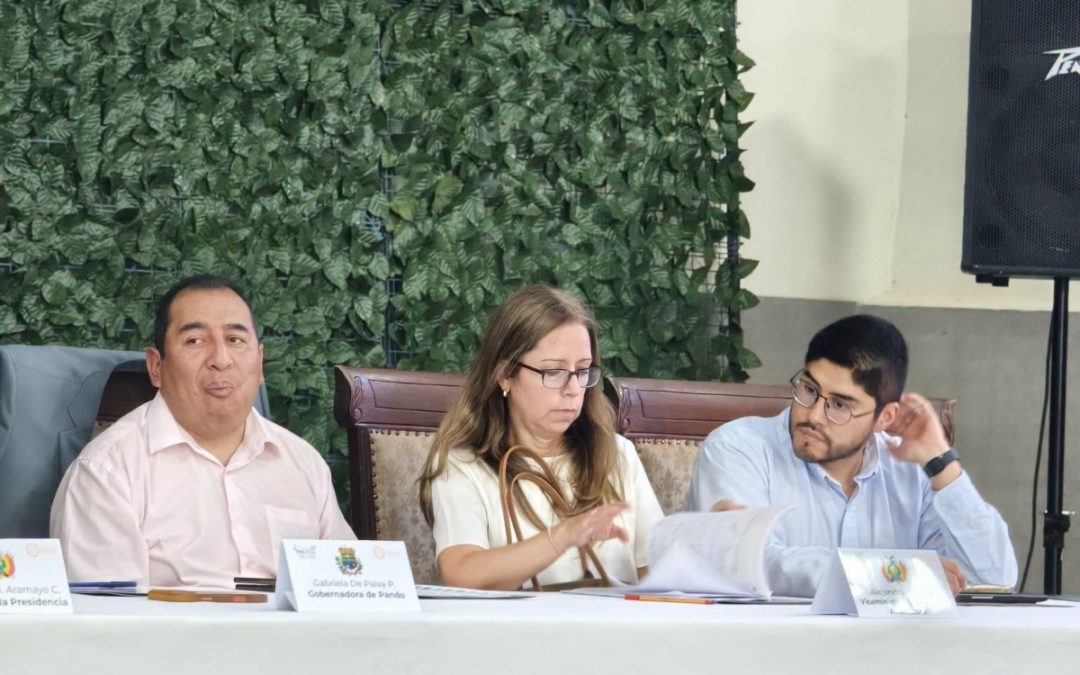 TARIJA PROPONE QUE EL 15% DE LOS IMPUESTOS NACIONALES PASE A LAS GOBERNACIONES